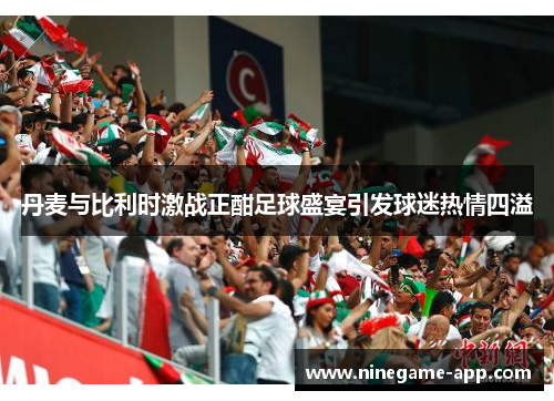 丹麦与比利时激战正酣足球盛宴引发球迷热情四溢